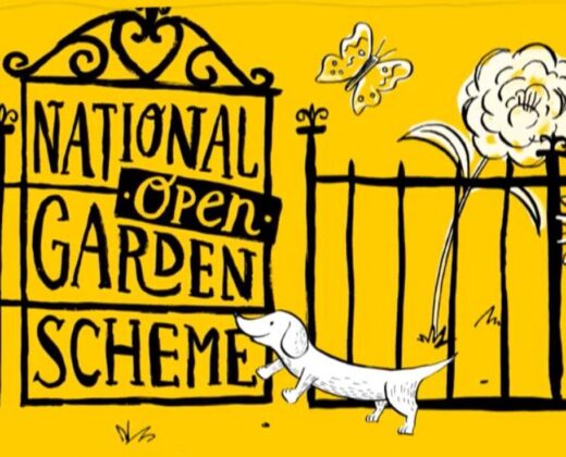 National Garden Scheme Open Day
